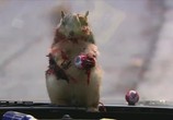 Сериал Зомби с дороги (Дорожные зомби) / Zombie Roadkill (2010) - cцена 2
