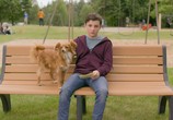 Сериал Целебные силы чувака / The Healing Powers of Dude (2020) - cцена 3