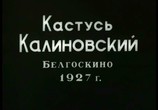 Фильм Кастусь Калиновский (1927) - cцена 1
