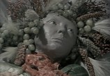 Фильм Ян Шванкмайер: Сборник короткометражных фильмов / Jan Svankmajer: The Complete Short Films (2007) - cцена 5