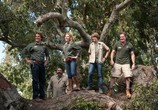 Фильм Мы купили зоопарк / We Bought a Zoo (2012) - cцена 4