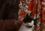 Сцена из фильма Шальная баба (1991) Шальная баба сцена 11