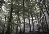 Фильм Забытая рота / The Lost Battalion (2001) - cцена 9