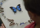Сцена из фильма Эва и Леон / L'échappée belle (2015) Эва и Леон сцена 18