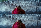 Сцена из фильма Путешествие по национальным паркам 3D / National Parks Adventure (2016) Путешествие по национальным паркам 3D сцена 20