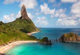 Сцена из фильма Южная Америка / South America (2018) Южная Америка сцена 10