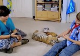 Фильм Тигриный хвост / A Tiger's Tail (2014) - cцена 4