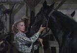 Фильм Отчаянные / The Desperadoes (1943) - cцена 7