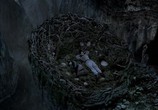 Фильм Динотопия / Dinotopia (2002) - cцена 2