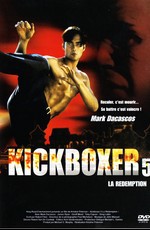 Кикбоксер 5: Возмездие / The Redemption: Kickboxer 5 (1995)