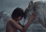 Фильм Книга джунглей / The Jungle Book (2016) - cцена 6
