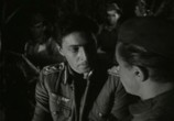 Фильм Жажда (1959) - cцена 4