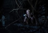 Фильм Капкан / Crawl (2019) - cцена 2