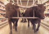 Фильм Собачье поле / Onirica (2014) - cцена 4