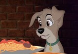 Мультфильм Леди и Бродяга 2: Приключения Шалуна / Lady and the Tramp II: Scamp's Adventure (2001) - cцена 6