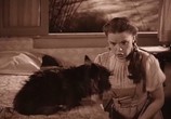 Фильм Волшебник страны Оз / Wizard of Oz (1939) - cцена 1