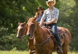 Фильм Дальняя дорога / The Longest Ride (2015) - cцена 2