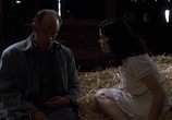 Фильм О мышах и людях / Of Mice and Men (1992) - cцена 2