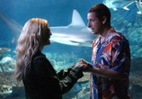 Фильм 50 первых поцелуев / 50 First Dates (2004) - cцена 1