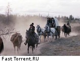 Фильм Золото / Gold (2013) - cцена 6