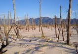 Сцена из фильма Глобальное потепление: факты / Climate Change: The Facts (2019) Глобальное потепление: факты сцена 12