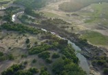 Сцена из фильма Необычная природа экватора / Equator's Wild Secrets (2019) Необычная природа экватора сцена 15