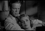 Фильм Вор-взломщик / The Burglar (1957) - cцена 8