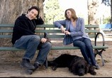 Фильм Любовь к собакам обязательна / Must Love Dogs (2005) - cцена 5