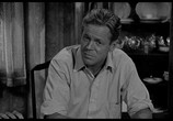Фильм Вор-взломщик / The Burglar (1957) - cцена 4