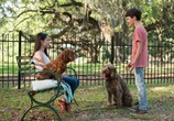 Фильм Думай как собака / Think Like a Dog (2020) - cцена 2
