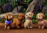 Мультфильм Барби и её сестры в погоне за щенками / Barbie & Her Sisters in a Puppy Chase (2016) - cцена 3