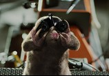 Сцена из фильма Миссия Дарвина / G-Force (2009) Миссия Дарвина сцена 17