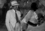 Фильм Марокко / Morocco (1930) - cцена 3