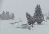 ТВ Йеллоустоун. Битва за жизнь / Yellowstone - Battle For Life (2009) - cцена 1