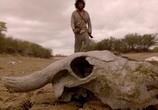 Фильм Убийца / O Matador (2017) - cцена 3