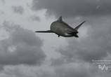 Фильм Акулий торнадо / Sharknado (2013) - cцена 3