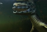 ТВ Необычная природа экватора / Equator's Wild Secrets (2019) - cцена 4