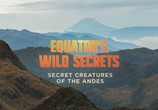 Сцена из фильма Необычная природа экватора / Equator's Wild Secrets (2019) Необычная природа экватора сцена 25