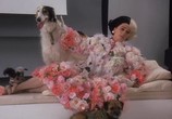 Фильм 102 Далматинца / 102 Dalmatians (2001) - cцена 2