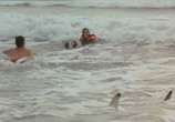 Фильм Кровавый серфинг / Krocodylus (2000) - cцена 5