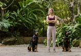 Сериал Частный детектив Магнум / Magnum P.I. (2018) - cцена 3