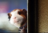 Сцена из фильма Миссия Дарвина / G-Force (2009) Миссия Дарвина сцена 4