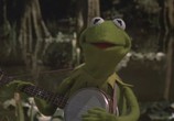 Фильм Фильм Маппетов / The Muppet Movie (1979) - cцена 1