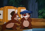 Мультфильм Чип и Дейл / Chip an' Dale (1947) - cцена 4