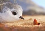 Мультфильм Песочник / Piper (2016) - cцена 3