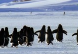 ТВ Глобальное потепление: факты / Climate Change: The Facts (2019) - cцена 1