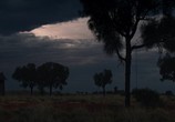 Фильм Сладостный край / Sweet Country (2018) - cцена 2