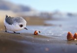 Мультфильм Песочник / Piper (2016) - cцена 1