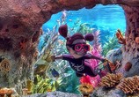Мультфильм В поисках Немо: Подводное путешествие / Finding Nemo Submarine Voyage (2007) - cцена 3
