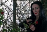 Фильм Семейка Аддамс / The Addams Family (1991) - cцена 3